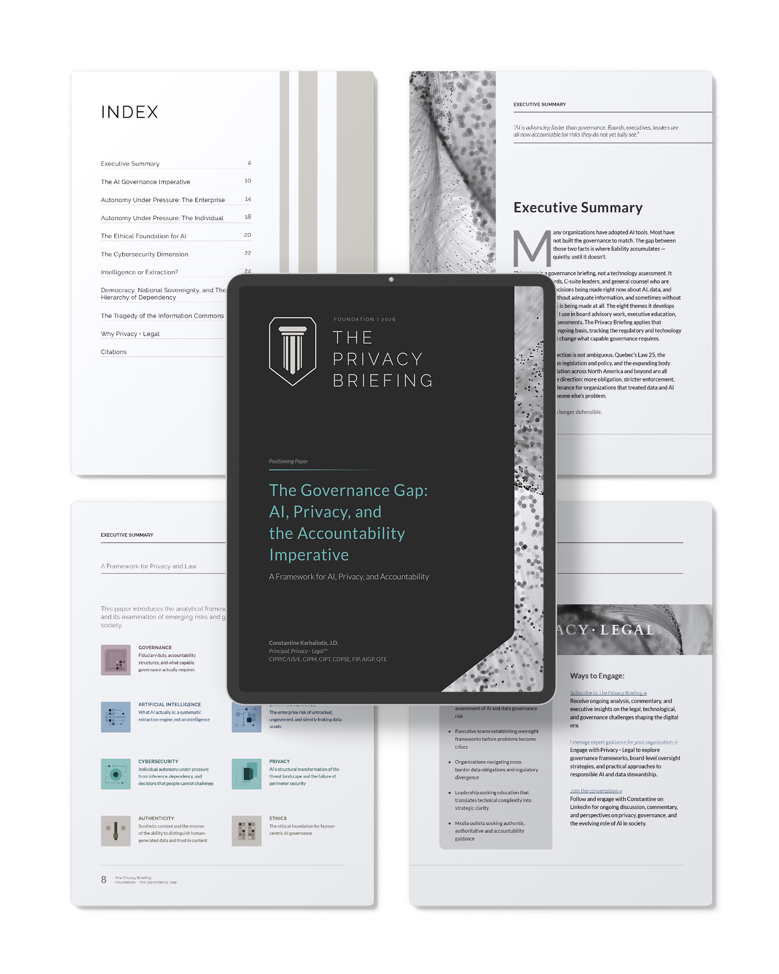 pl-privacy-briefing-foundation-var1 pl-privacy-briefing-foundation-var1